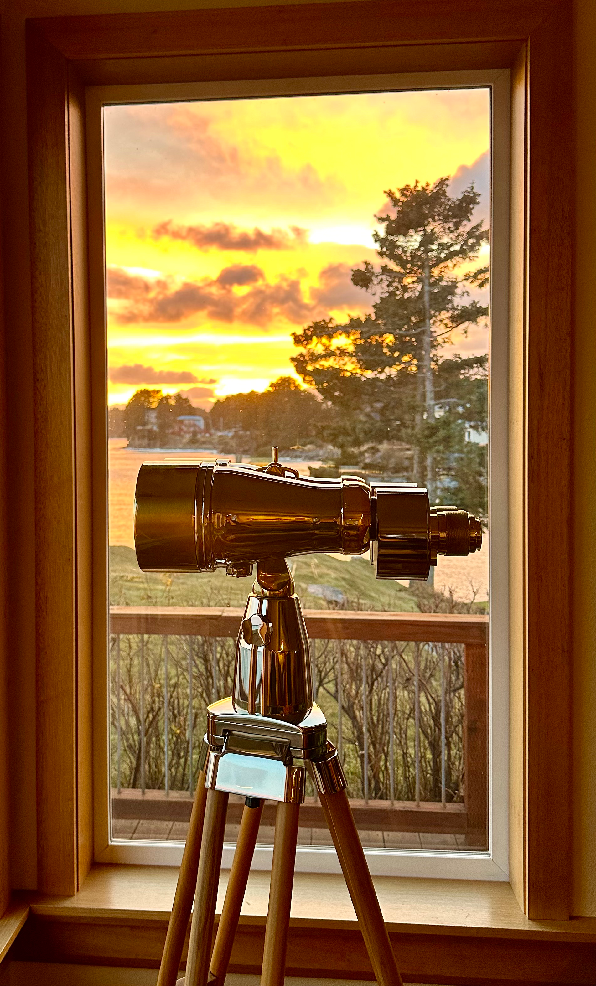 "Midway" - 15x100mm Bigeye binocular image 12