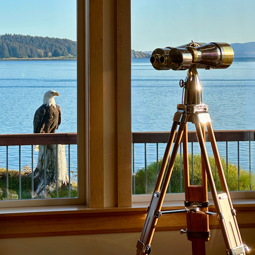 "Midway" - 15x100mm Bigeye binocular image 6