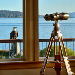 "Midway" - 15x100mm Bigeye binocular image 6