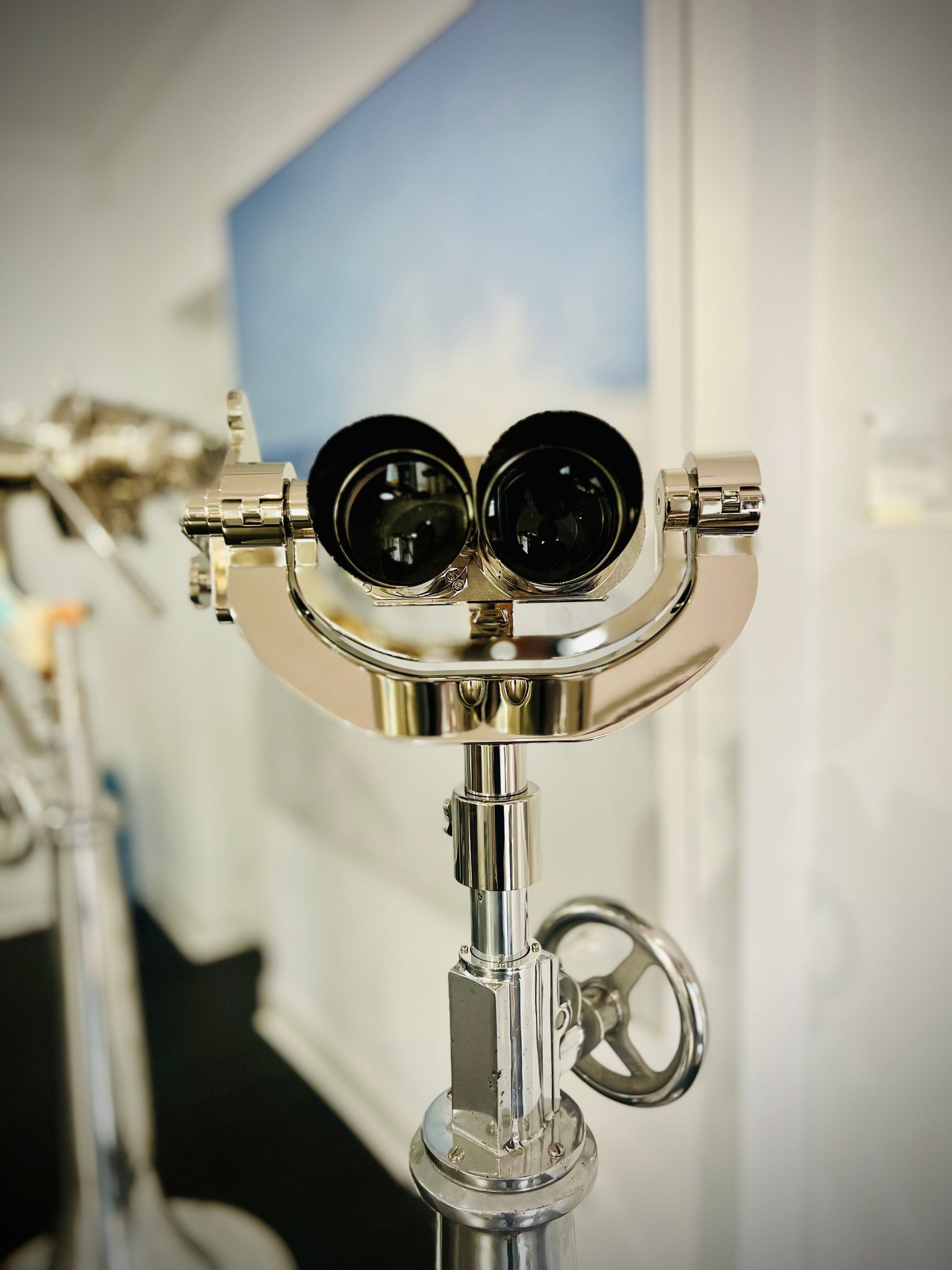 10x80 Flak 45 degree Bigeye Binoculars | Monopod image 2